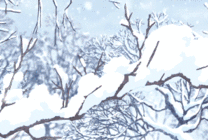 雪天道路行车动画图片