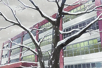 枯萎枝头上的积雪动画图片