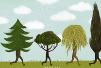 森林的树木奔跑动画图片