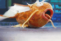 一只小金鱼在地上蹦蹦跳跳gif图片