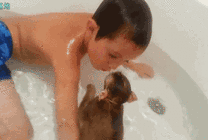 可爱的小猴子陪着小朋友在浴缸里洗澡gif图片