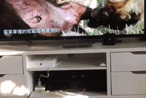 猫咪看电视GIF动态图