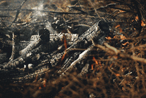 燃烧的木材GIF动态图