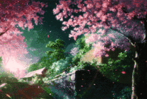 樱花从树上掉落GIF动态图