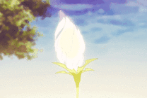 一朵盛开的鲜花GIF素材图片
