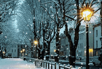 唯美的雪景GIF素材图片