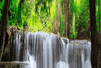 唯美森林幽谷瀑布GIF素材