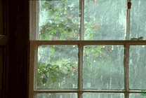 窗外下着大雨GIF图片