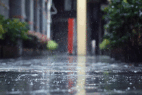 落在路面的雨水GIF图片