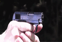 一支小手枪GIF图片