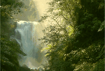 山林深处有瀑布唯美动态图片