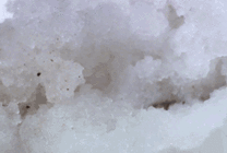 从冰堆里爬出来的毒蛇吐着信子gif图片