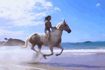 漂亮的女孩在海边骑白马gif图片