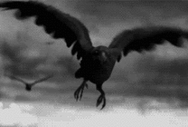 一只大鸟在空中鸣叫一声化为灰烬gif图片