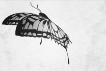 一只灰色的卡通蝴蝶在空中不停的飞舞gif图片