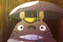 卡通龙猫雨中打伞的表情图片