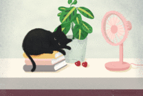 小黑猫吹风扇动画图片
