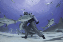 潜水员在海底与鲨鱼玩耍gif图片