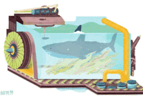 模拟鲨鱼在海洋的效果动画图片