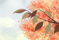秋天到了枫叶不停的从树上落下gif图片