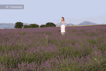 美丽的女孩大步的走在薰衣草庄园里gif图片