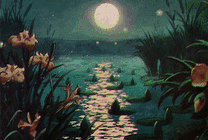 荷塘月色夜光把湖面映衬的很漂亮gif图片