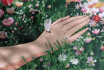手臂伸进花丛一只白色的蝴蝶落在了手上gif图片