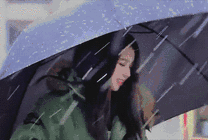 美女雪中撑伞太唯美gif图片