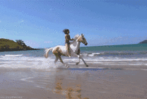 潇洒的女孩骑着白马在海边狂奔gif图片