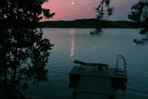 清晨宁静的湖畔动态图片