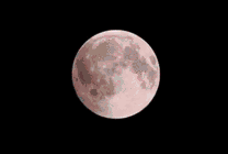 美丽的月全食gif图片