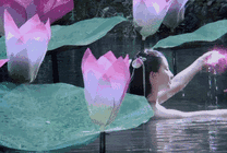 女神刘亦菲在种满莲花的池塘里洗澡gif图片