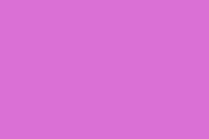 纯兰花紫图片[61图]
