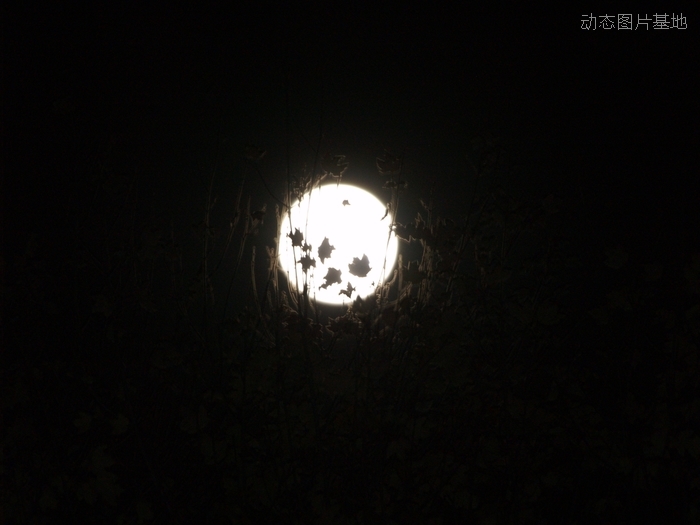 图片描述：月亮，月亮图片,尺寸：1920X1440px 