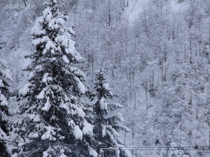 图片描述：雪景,尺寸：2560X1920px 