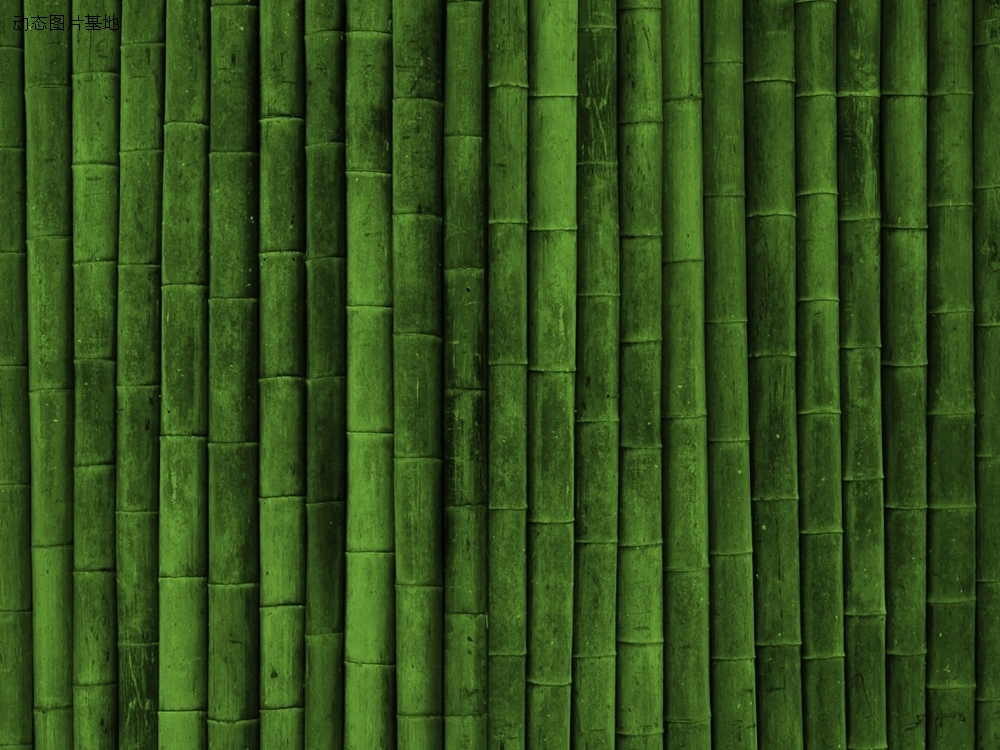 图片描述：竹子,尺寸：1024X768px 