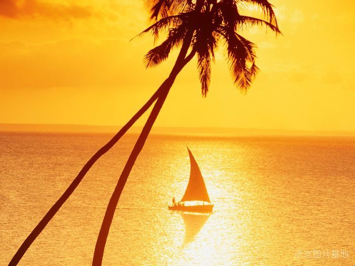 图片描述：椰树，椰子树，小船，帆船，落日，夕阳,尺寸：1600X1200px 