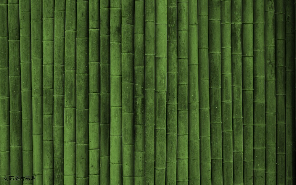 图片描述：竹子,尺寸：2560X1600px 