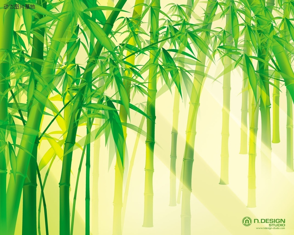 图片描述：竹子，竹林,尺寸：1280X1024px 