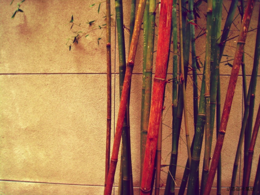 图片描述：竹子，竹林,尺寸：1600X1200px 