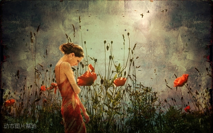 图片描述：罂粟花，女人,尺寸：1920X1200px 