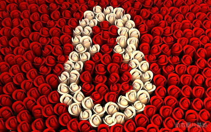 图片描述：玫瑰花，玫瑰，白玫瑰，红玫瑰,尺寸：1920X1200px 