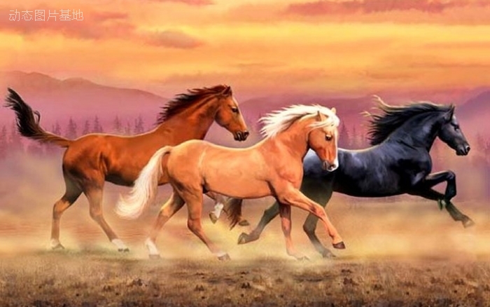 图片描述：马，骏马，奔马，跑马，野马,尺寸：1920X1200px 