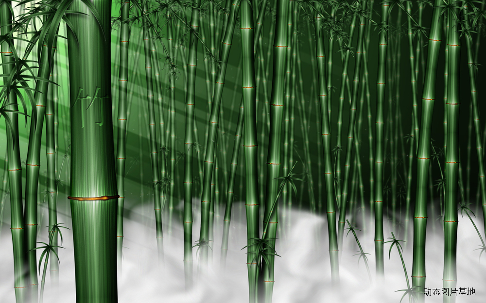 图片描述：竹子，竹林,尺寸：1920X1200px 