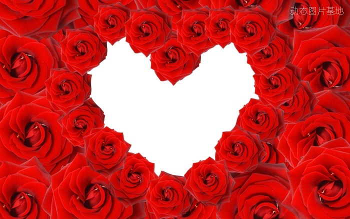 图片描述：玫瑰花，玫瑰，爱心，心形，LOVE，爱情，情人节,尺寸：2560X1600px 
