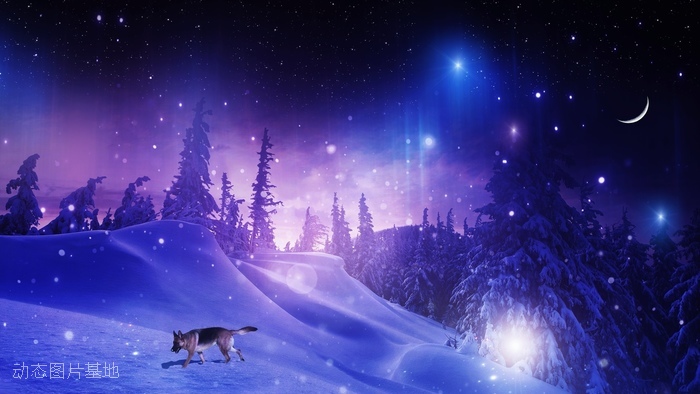 图片描述：狗狗，下雪，雪景,尺寸：2560X1440px 