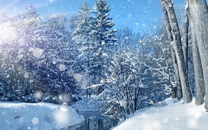 图片描述：下雪，雪景,尺寸：2560X1600px 