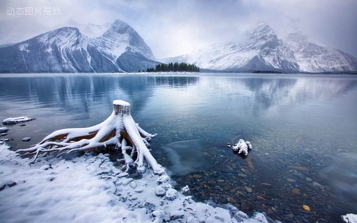 图片描述：风光，雪景，阿尔伯塔，加拿大，风景,尺寸：1920X1200px 
