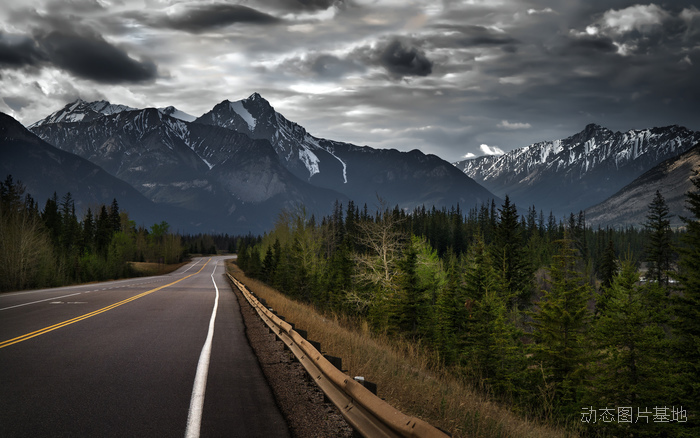 图片描述：风光，路图片，道路，阿尔伯塔，加拿大，风景,尺寸：2560X1600px 