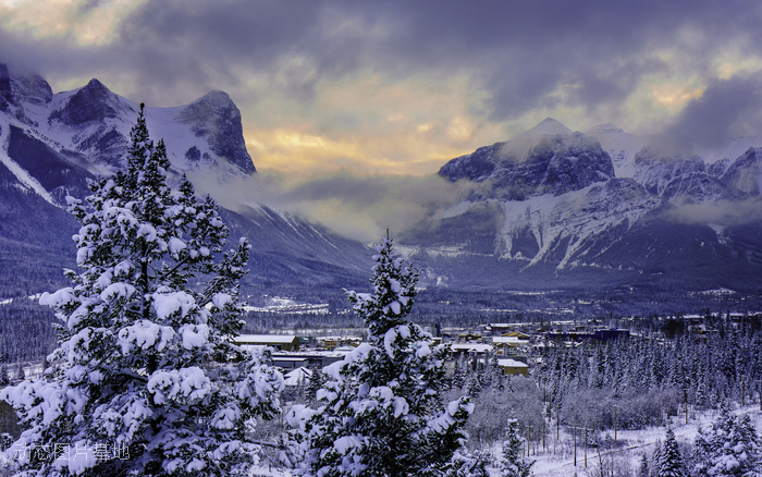 图片描述：雪景，阿尔伯塔，加拿大，风景,尺寸：2560X1600px 
